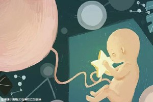 代怀双胞胎生男孩
